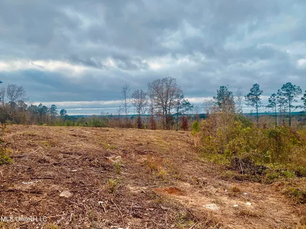 Saint Anne Rd, Carthage, MS 39051