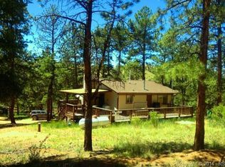 955 Forest Service 200 Rd, Lake George, CO 80827