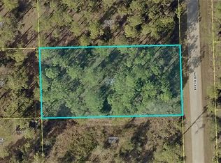 1007 North Ave, Lehigh Acres, FL 33972