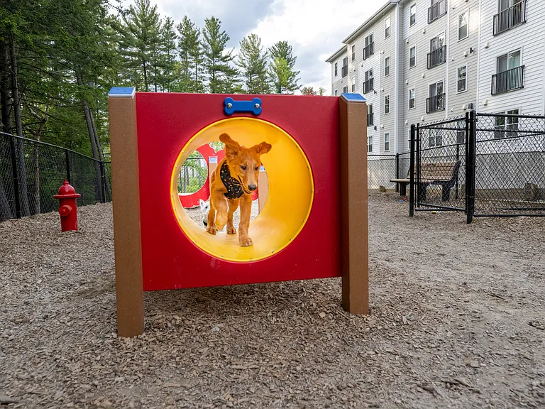 Halstead Merrimack — Photo 9