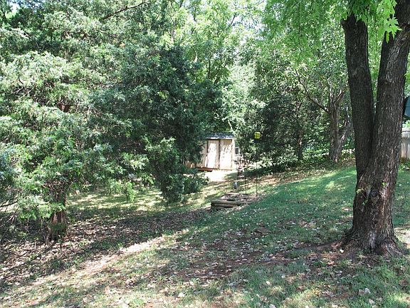 Backyard from patio