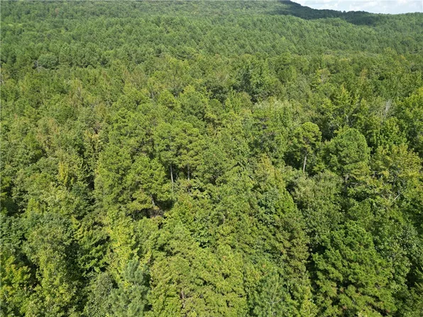 Broomfield Rd, Dover, AR 72837