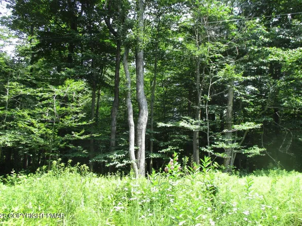 919 E Country Place Dr, Tobyhanna, PA 18466