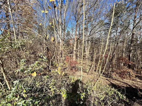 24 & 25 Roy, Pinnacle, NC 27043