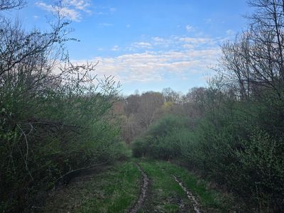 0 Township Road 375, Warsaw, OH, 43844