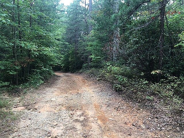 Mule Branch Rd @ top of lot