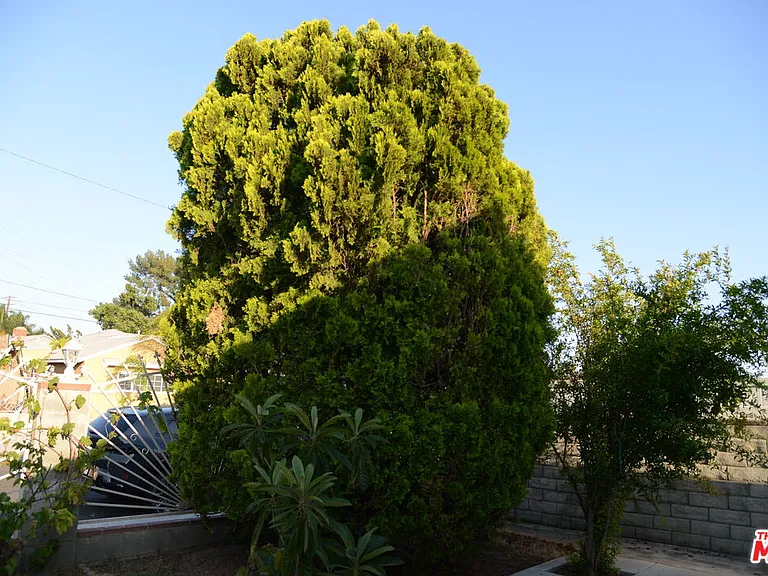 7913 Vanscoy Ave — Photo 2