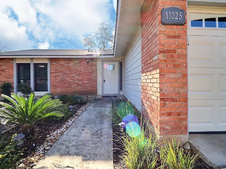 11025 White Sands St — Photo 2