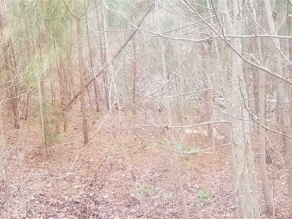 2nd image of 9224 Eisenhower Dr