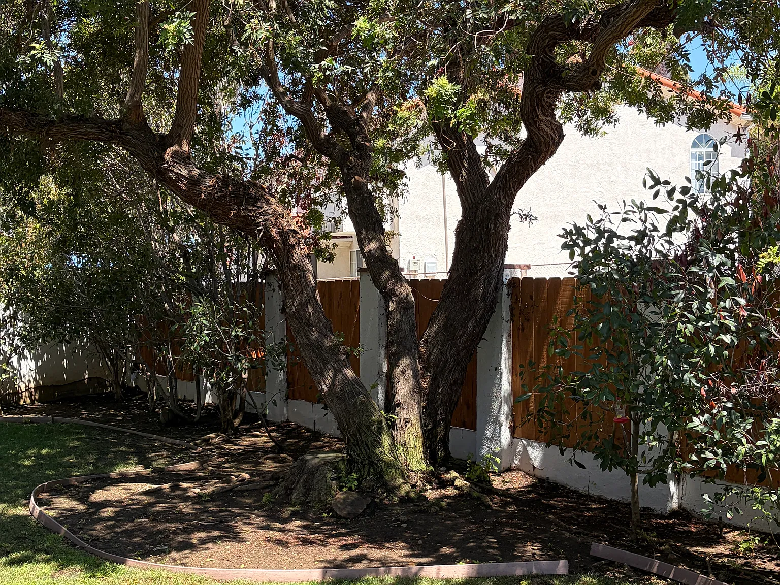 3 bed, 2400 sqft, $4,295 — Photo 4