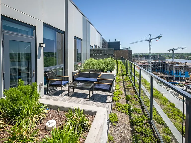 Terrace View