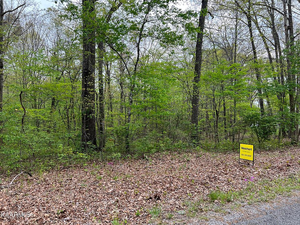 2nd image of Linger Lake Dr