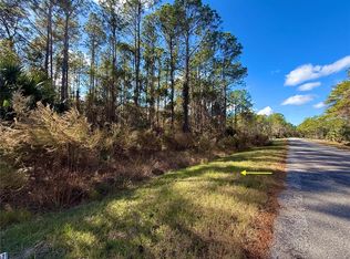 15 Apricot Ave, Eustis, FL 32736