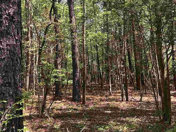 4th image of 00 Eagle Ct