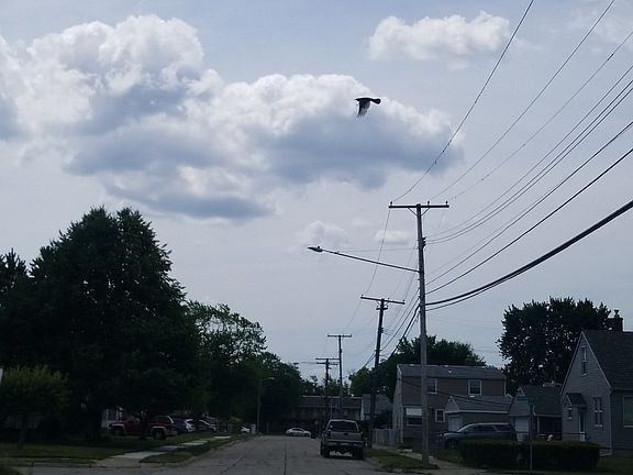 4th image of 29307 Michigan St