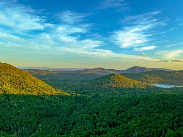 (undisclosed Address)