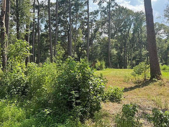 3rd image of 22863 Green Acres Blvd