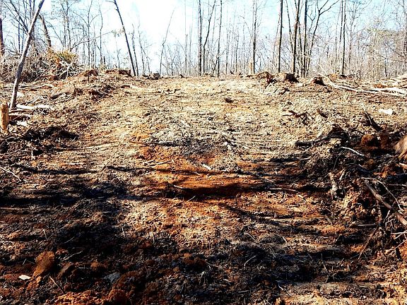 4th image of 9815 Choctaw Landing Rd