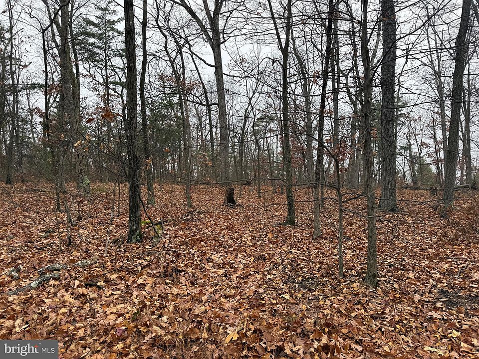 2nd image of 0 White Pine Ln
