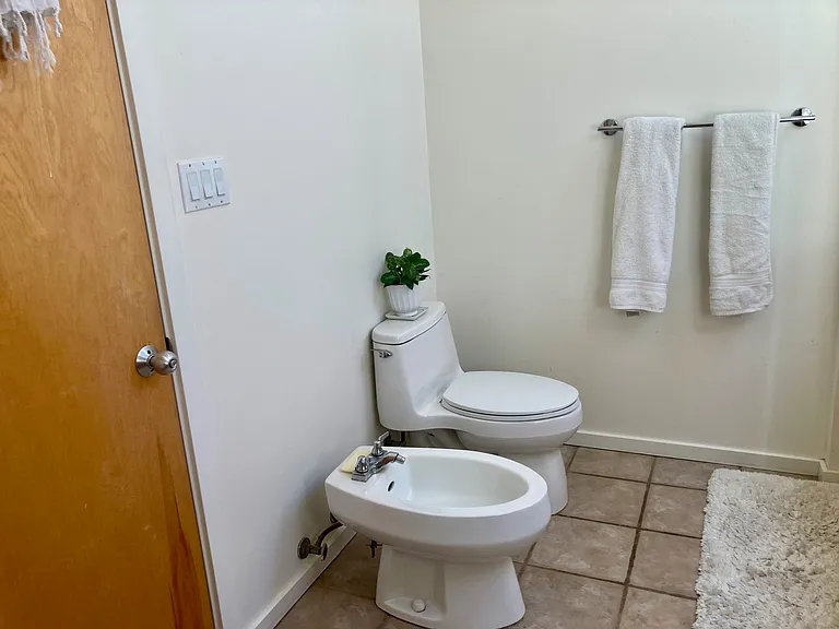 Toilet and Bidet.