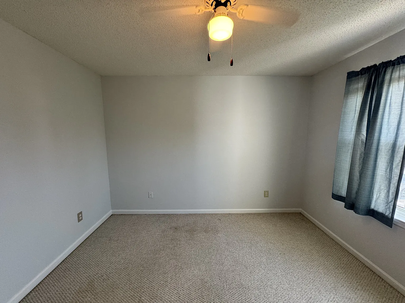3511 Crepe Myrtle Ct - 1 — Photo 3