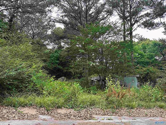 4th image of 25 Amherst Dr