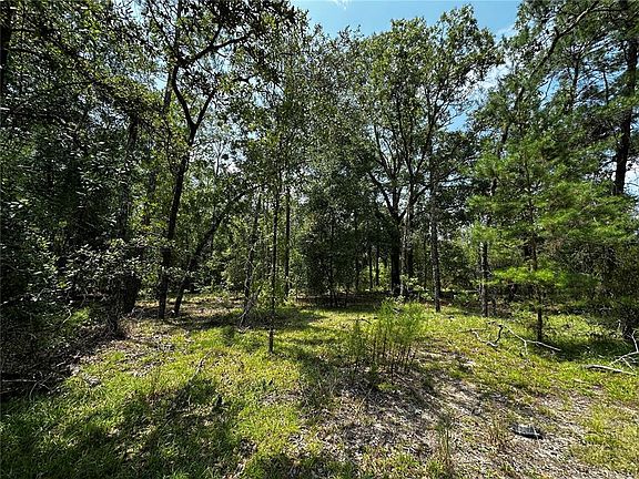 3rd image of 6270 NE 139TH AVENUE LOT 7