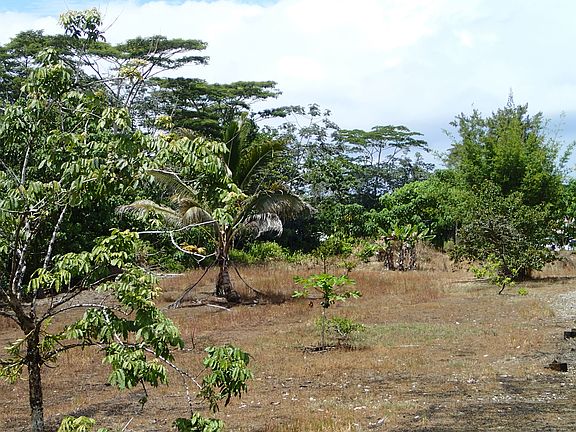 3rd image of 23rd Ave Lot 1148