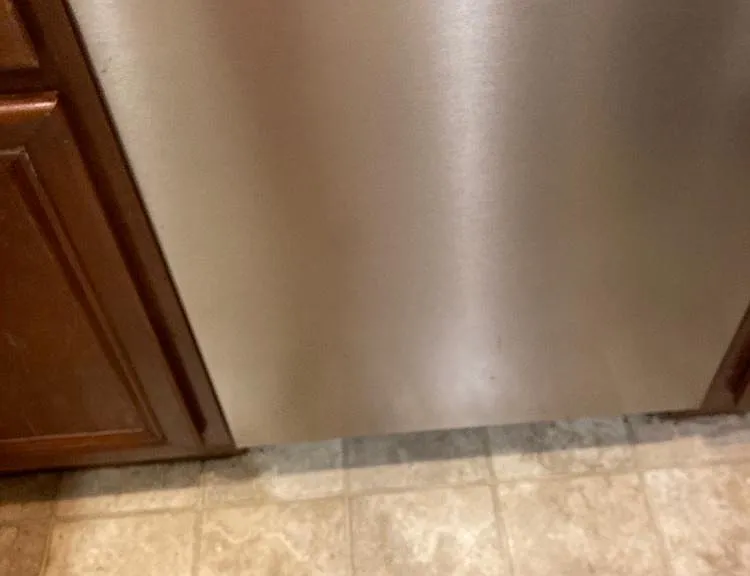 Alexa Ln — Photo 2
