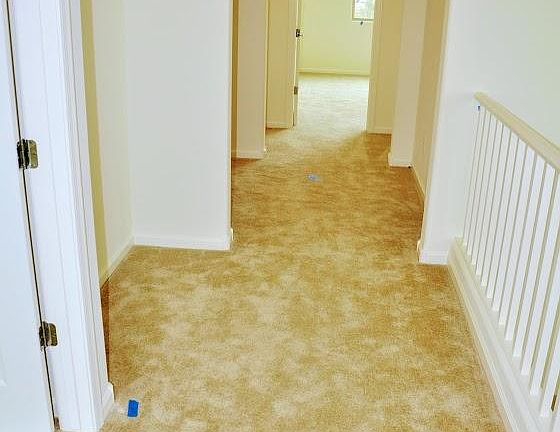 4th image of 115 E Honeysuckle Pl