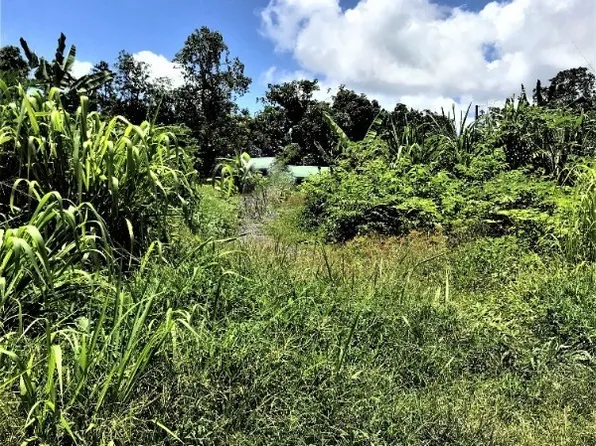 Opihi St Lot 1, Pahoa, HI 96778