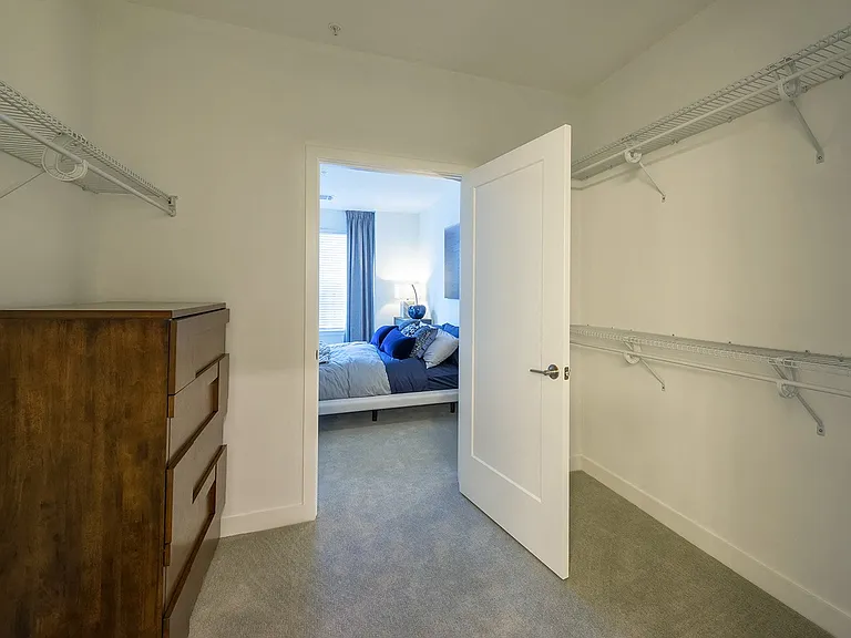 Walk-in closets with built-in shelving