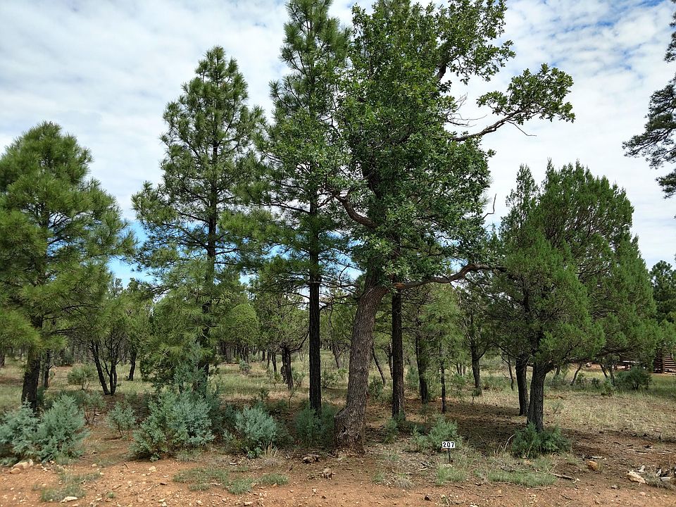 2nd image of 3450 Durango Dr