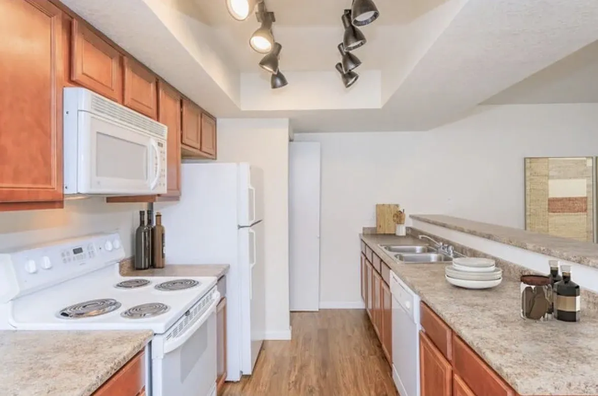 1 bed, 565 sqft, $1,125 — Photo 3