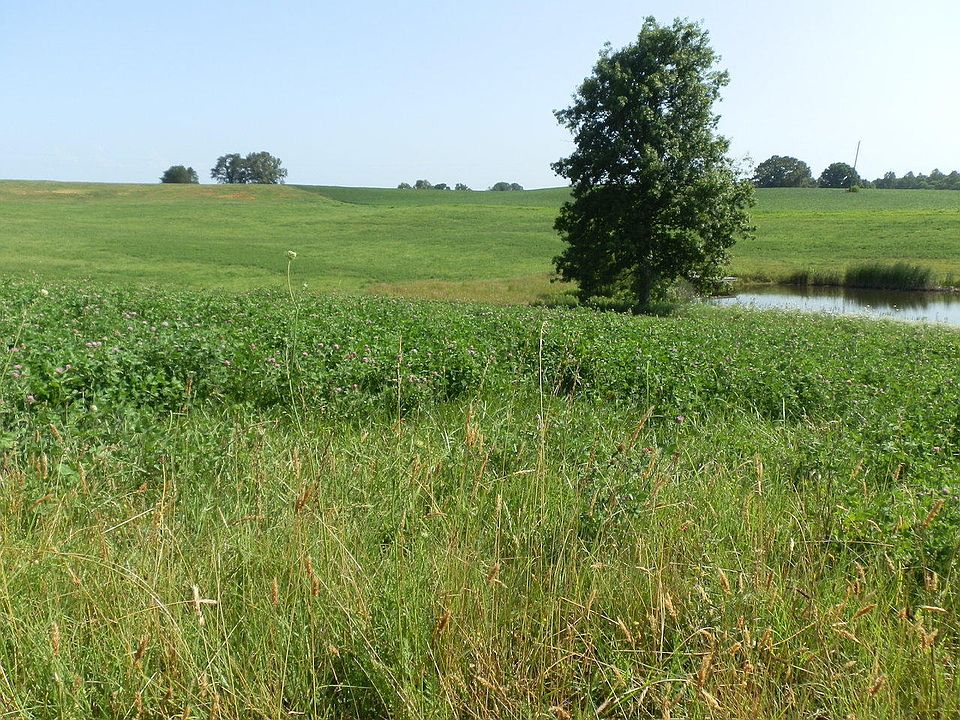 1st image of LOT 13 Kelsey Acres