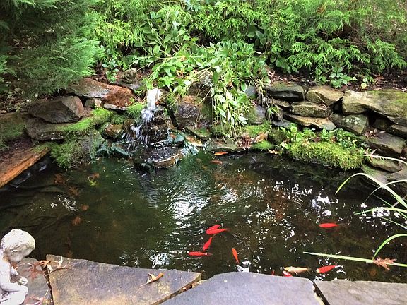 Fish Pond