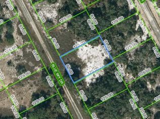 205 Blue Sky Dr #28, Lake Placid, FL 33852