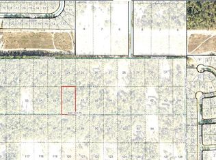 SW 151st Pl, Dunnellon, FL 34432