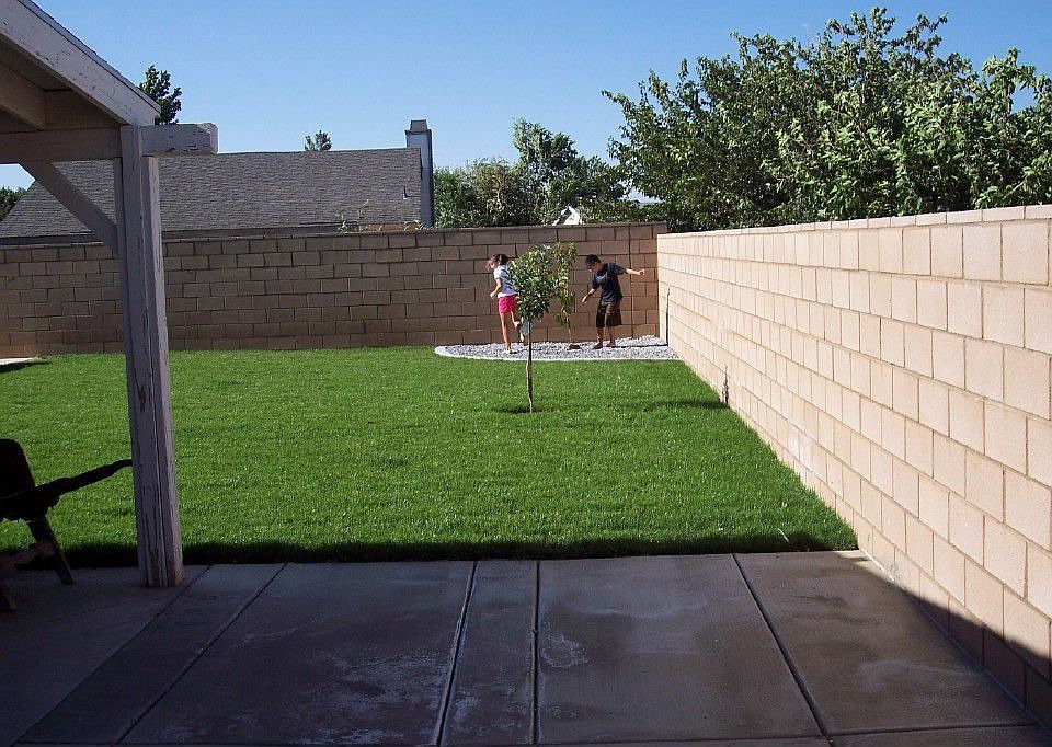 back yard