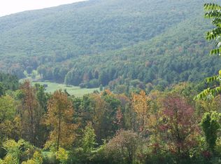 393 Ecker Hollow Rd, Schoharie, NY 12157