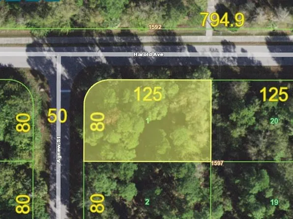 1158 Agnew St, Punta Gorda, FL 33980