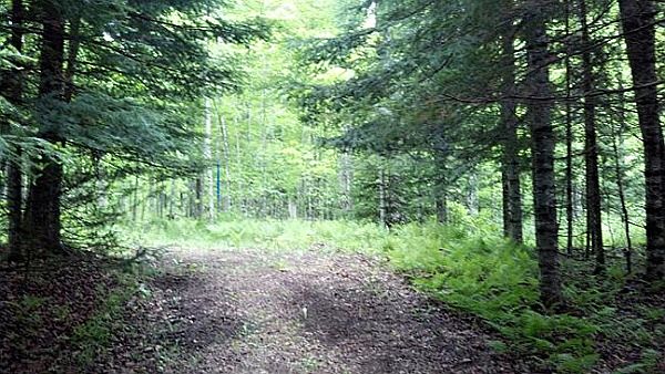 2nd image of Poppel River Acres #7
