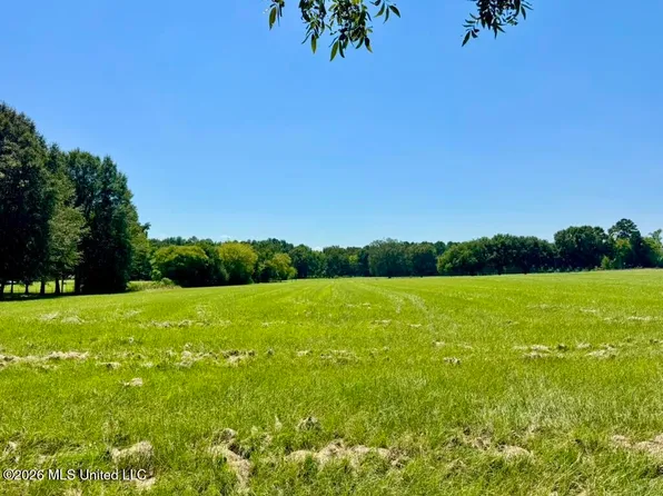 1 Green Acres Dr, Canton, MS 39046