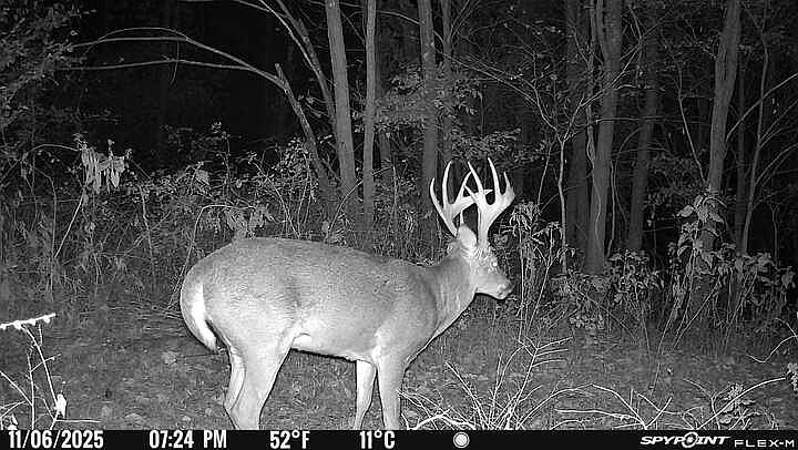 2nd image of 0 Red Tuttle Rd Lot 7
