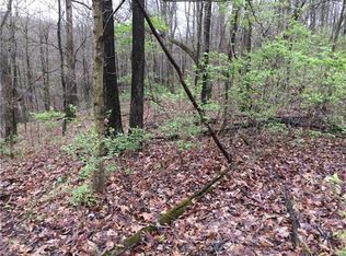 3733 Hawks Rest Rd, Pacific, MO 63069