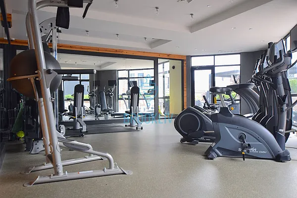 Rented by null | media 41