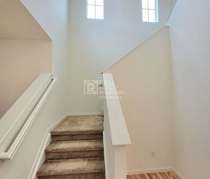 4650 Basalt Ridge Cir — Photo 11