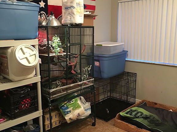 5th image of 2051 Renaissance Blvd APT 205
