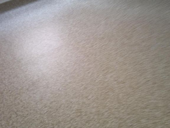 4th image of 3464 Knox Pl #2