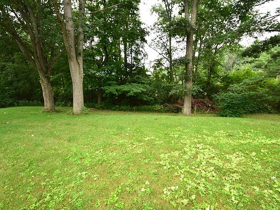 The back yard.